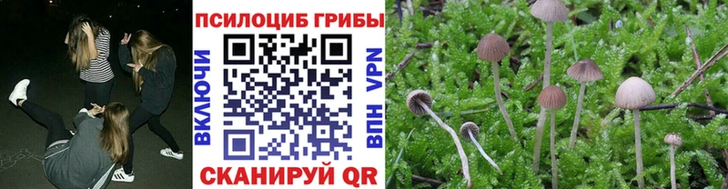 Псилоцибиновые грибы Magic Shrooms Углегорск